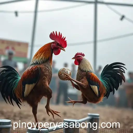 The Rise of Online Sabong and Its Cultural Impact