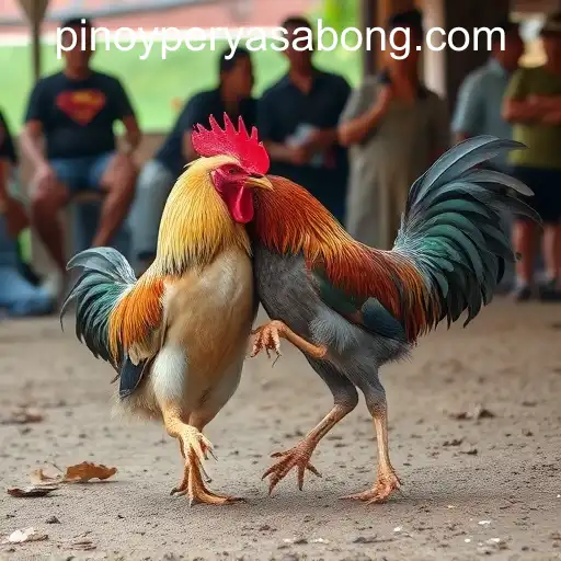 The Evolution of Sabong in the Digital Age