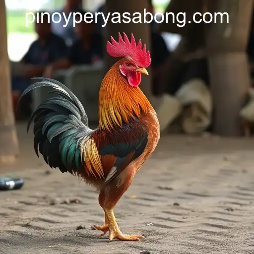 The Rise of Online Sabong in the Digital Era